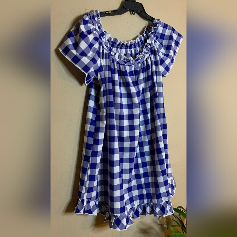 Blue and White checkered blouse
